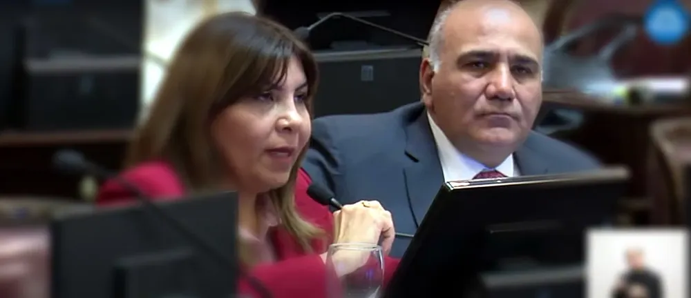SENADORES MANZUR Y MENDOZA