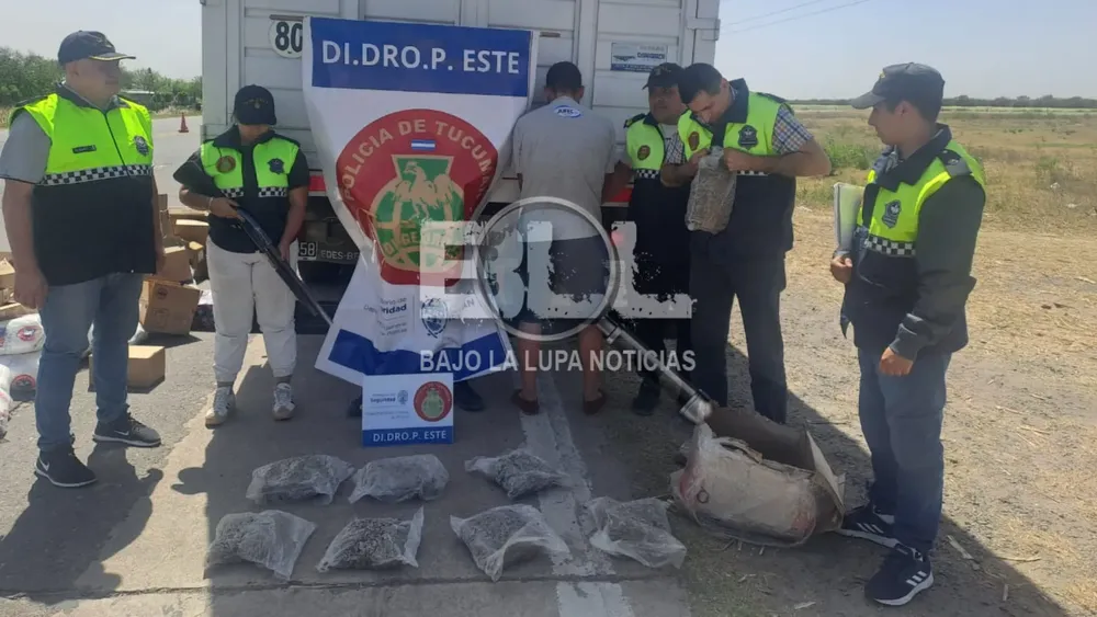 Diseño sin título (44)