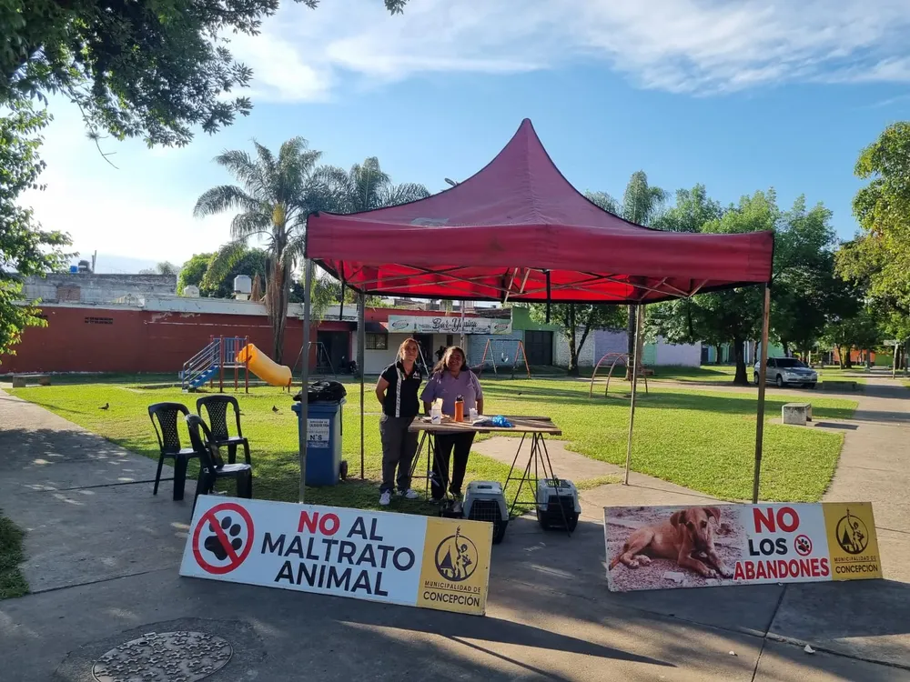 WhatsApp Image 2025-10-22 at 12.11.33