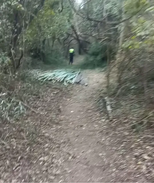 WhatsApp Image 2025-08-25 at 10.52