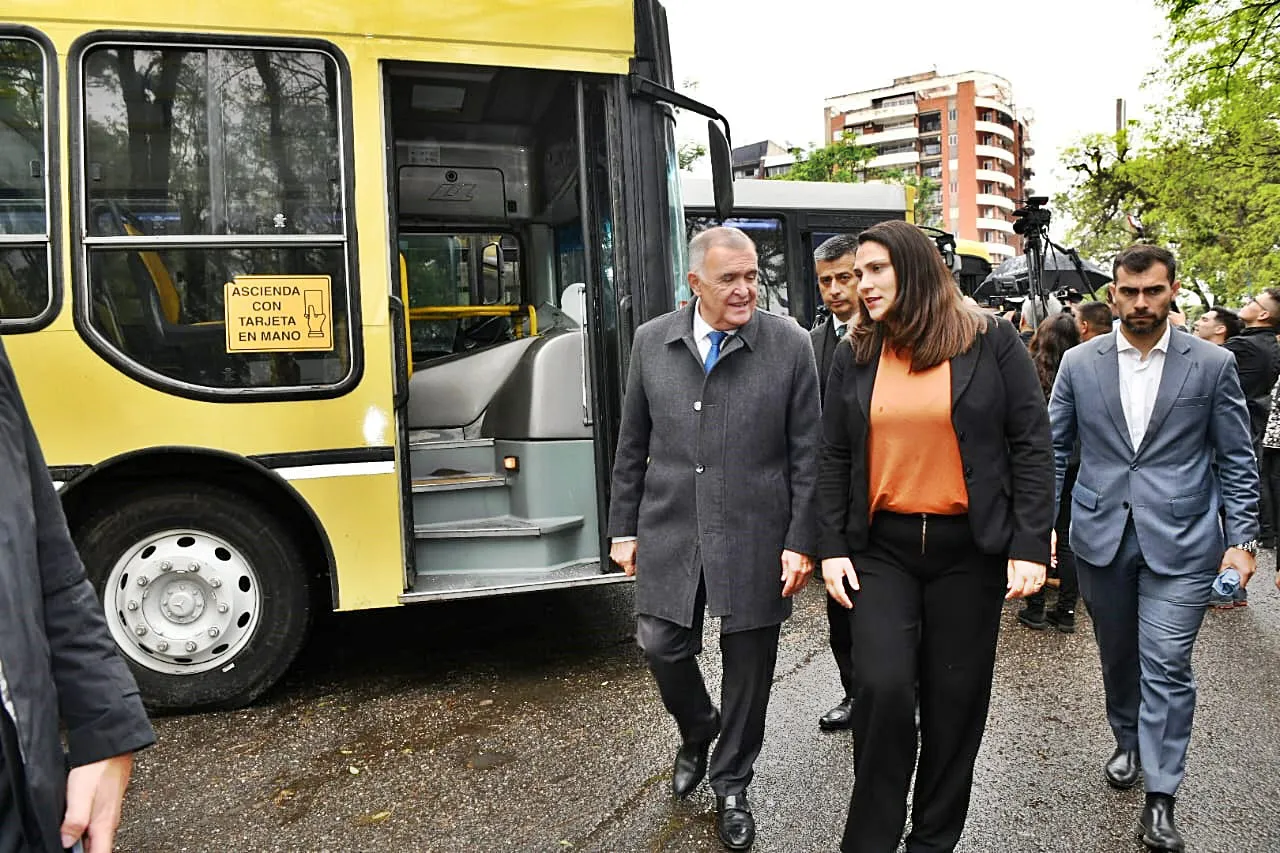 nuevos omnibus