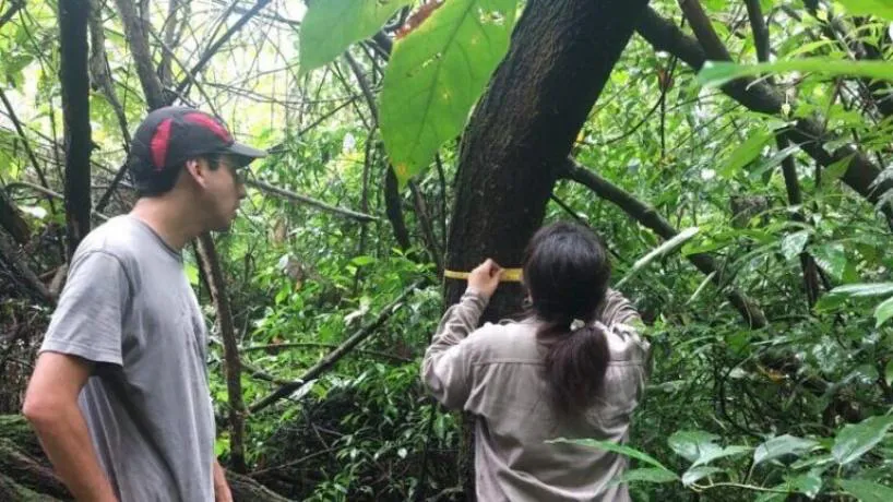 818x460_240305092111_79616