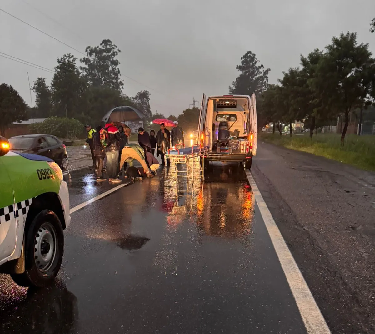 peregrino - choque AV