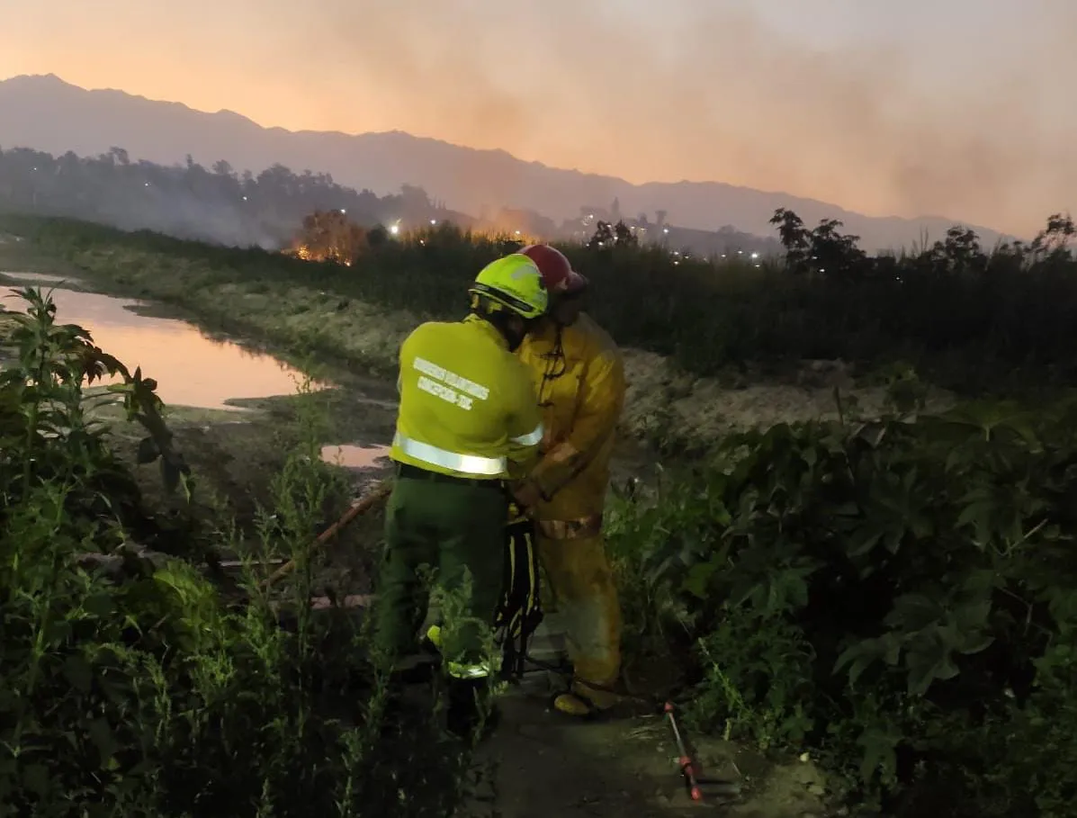 WhatsApp Image 2025-08-19 at 23.01.30