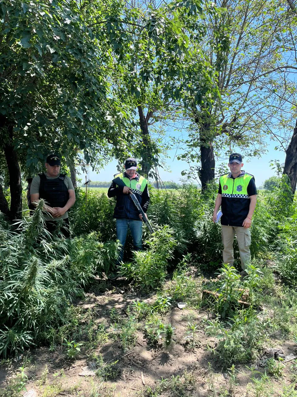 WhatsApp Image 2025-10-10 at 17.55.00