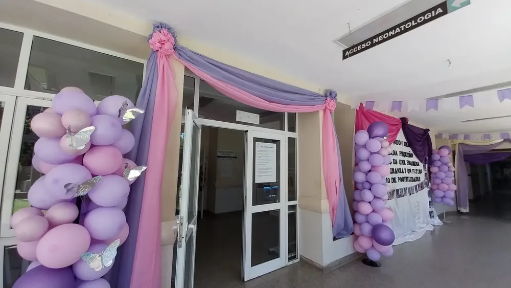 WhatsApp Image 2024-11-13 at 11.11.39 (1)