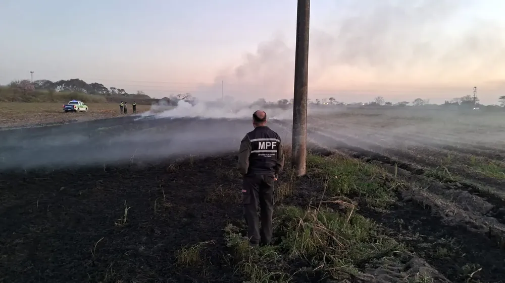 WhatsApp Image 2025-08-24 at 20.35.16 (1)