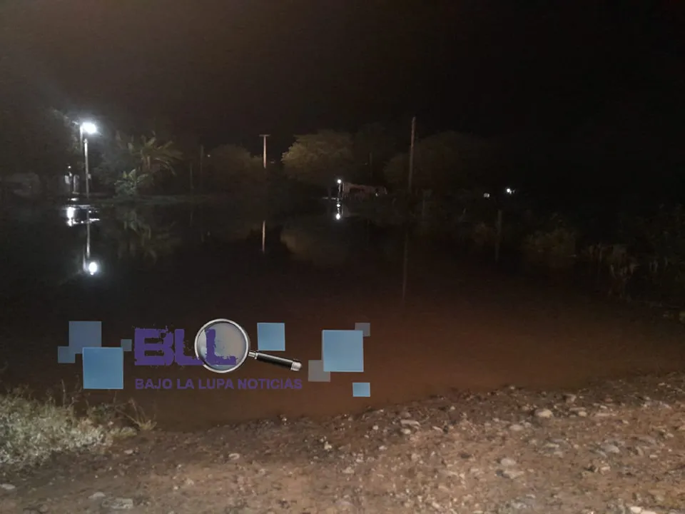 480779023_1162701079198786_8191907824282763073_n