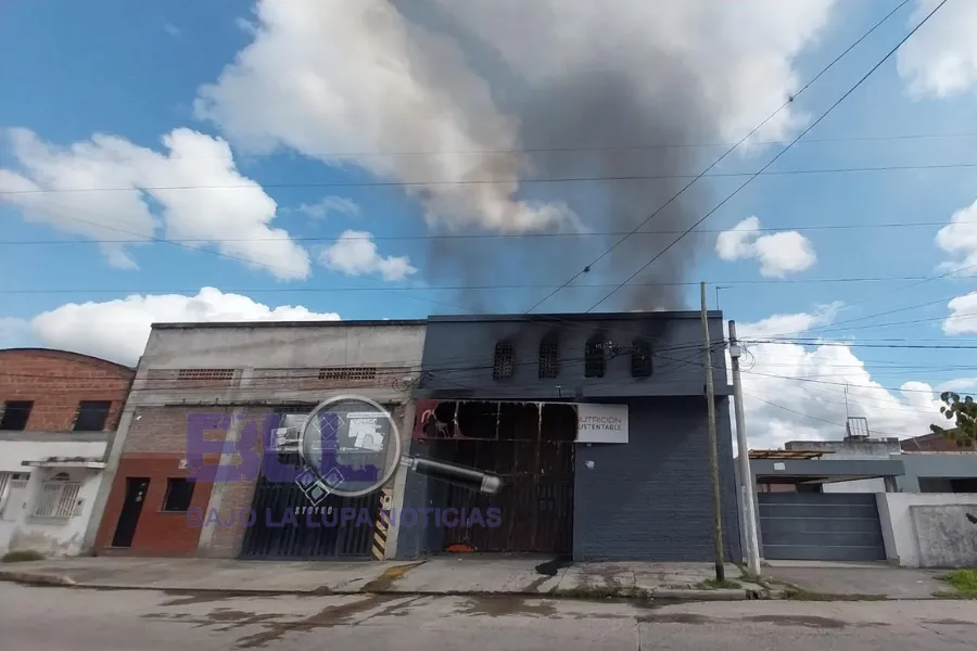 Diario Digital Cuerpo (18)