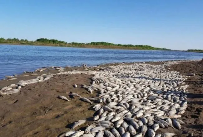 650x440_241005204731_39815