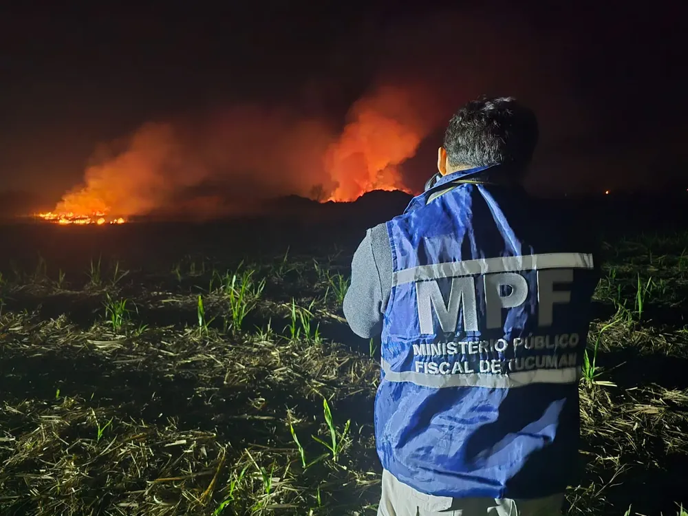 87e0dee2-3898-4ead-8ad2-dcfc0137f914