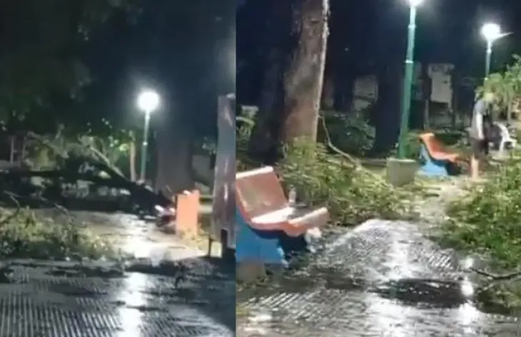 730x473_251128073611_91047