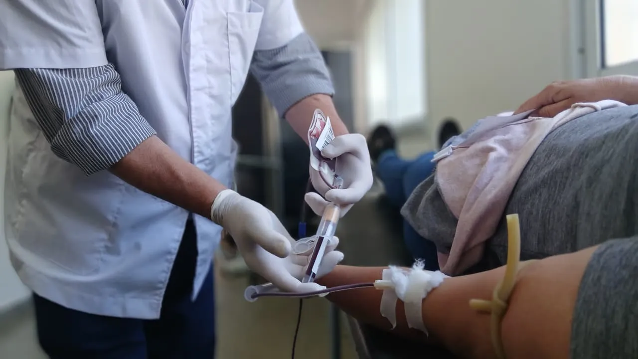 WhatsApp Image 2025-11-10 at 11.00.00