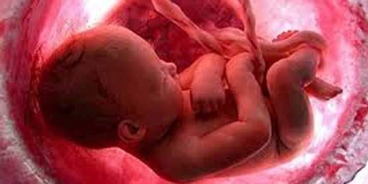 utero