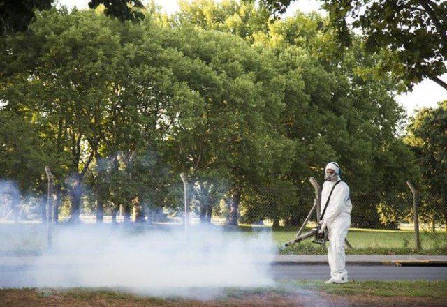 fumigacion-para-prevenir-el-dengue___QUBePCxQ_720x0__1