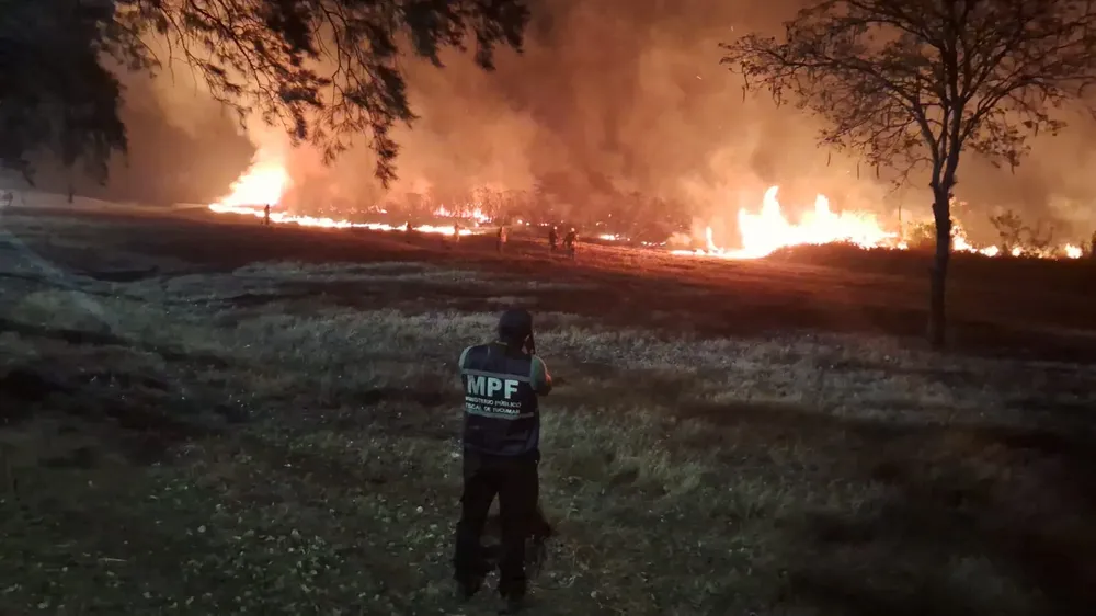 WhatsApp Image 2025-10-10 at 21.36.05