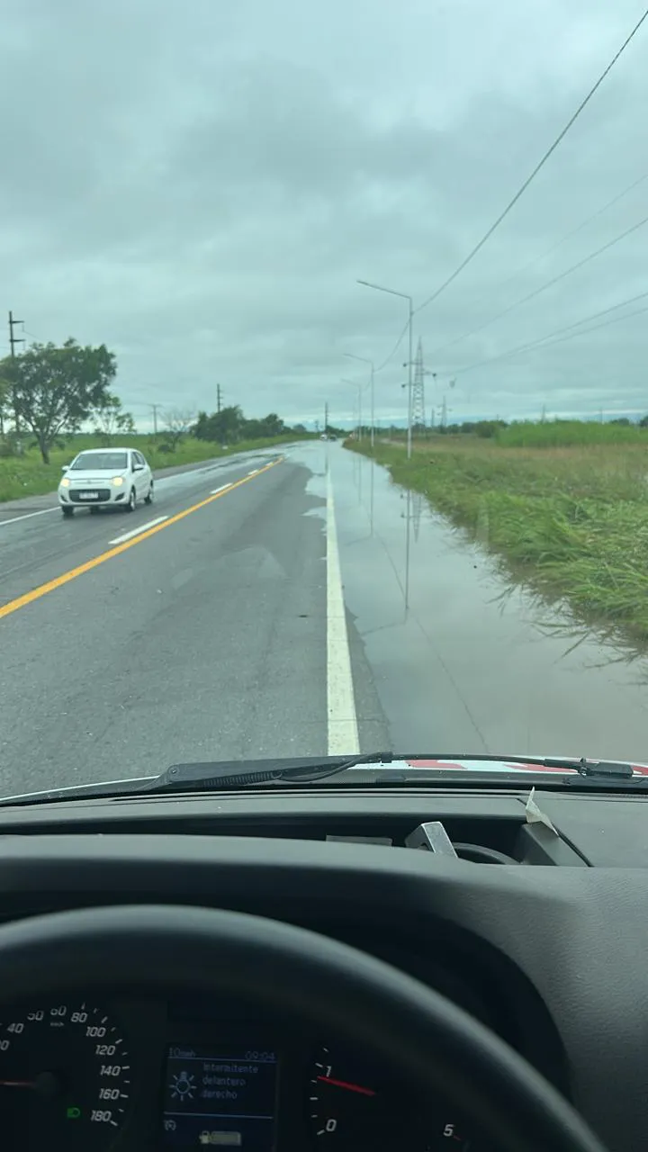 WhatsApp Image 2026-01-25 at 14.18.52