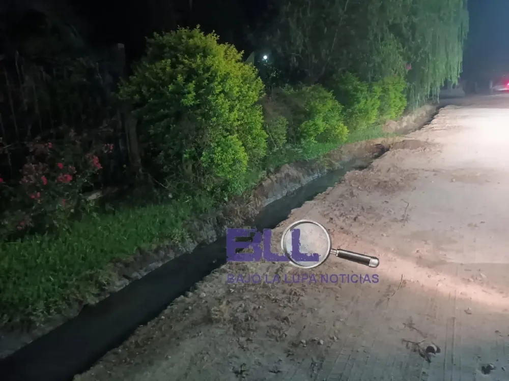 WhatsApp Image 2025-02-15 at 11.56.43 (1)