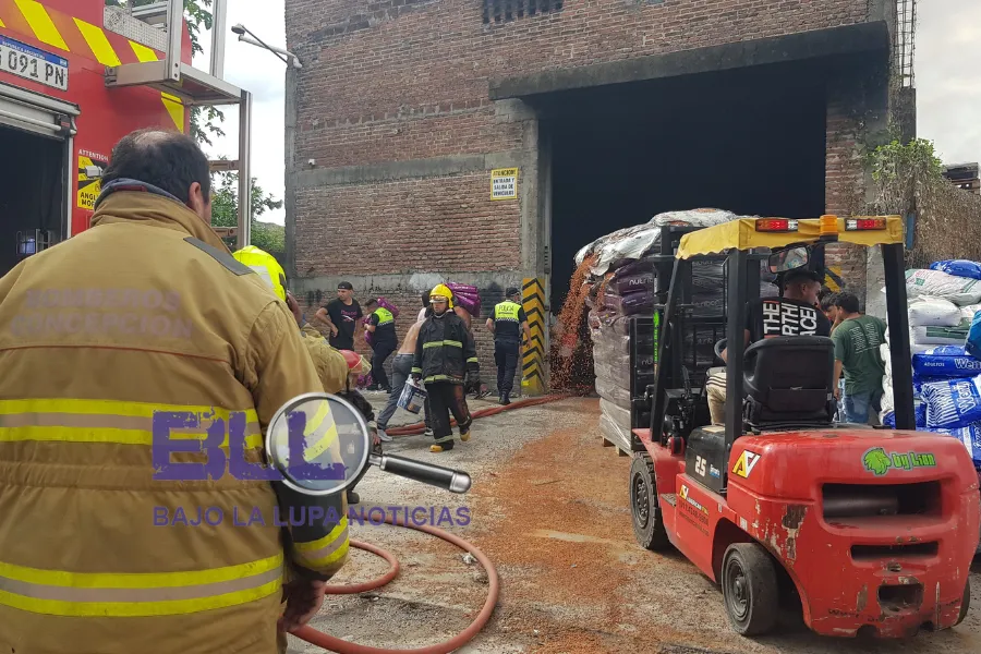 Incendio Nutribon 5 Incendio Nutribon 5