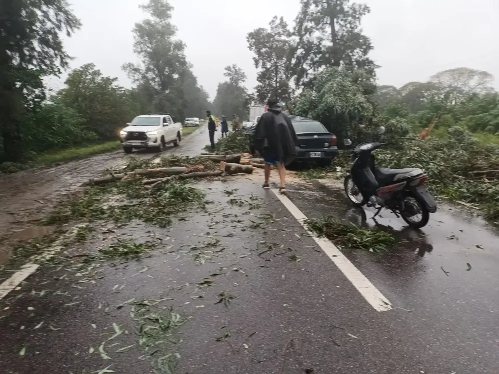 506a2f53-88fb-4a1f-ac5a-483375eed8fb