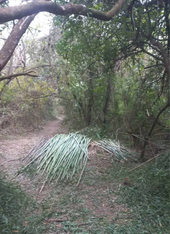 WhatsApp Image 2025-08-25 at 10.52