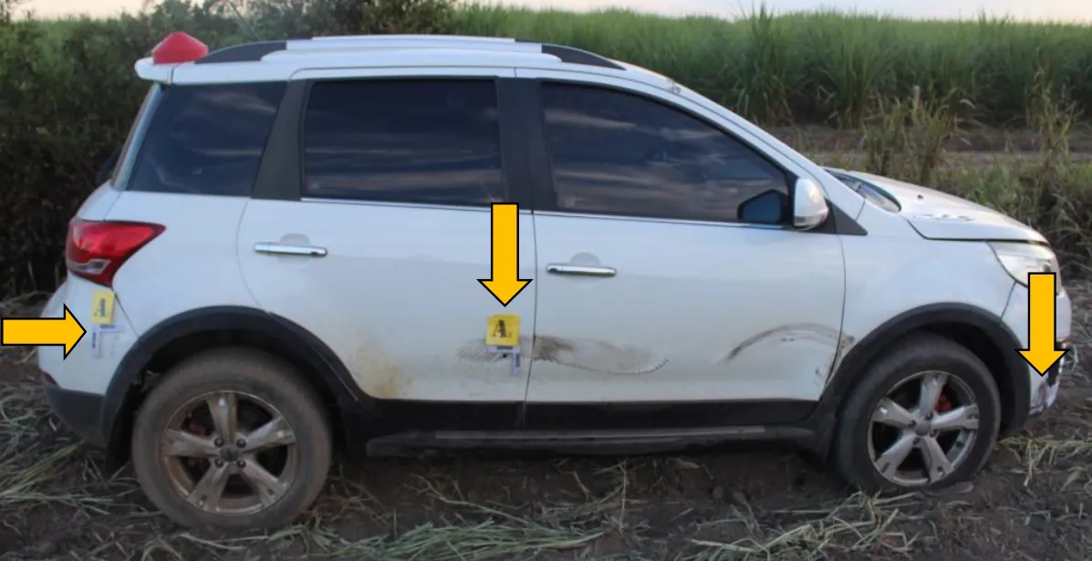 af52ccfc-3d91-4874-bf28-7b6c06ea0829