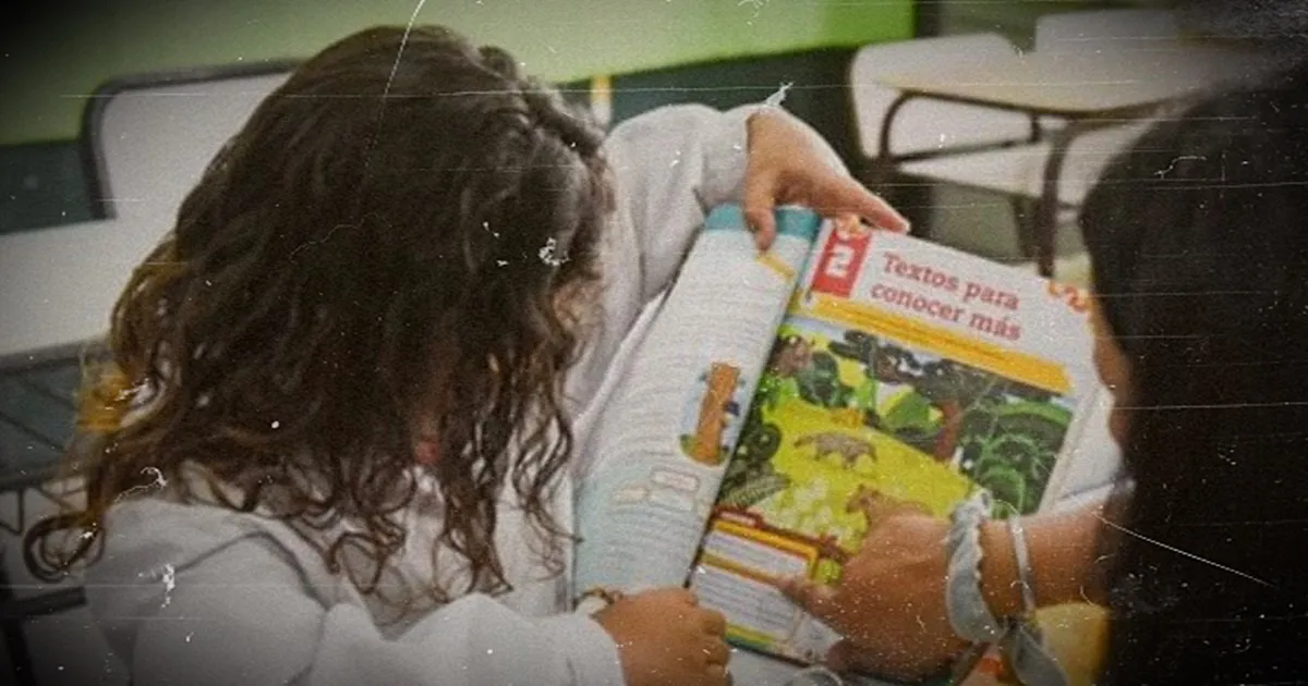 PRUEBAS APRENDER - LECTURA