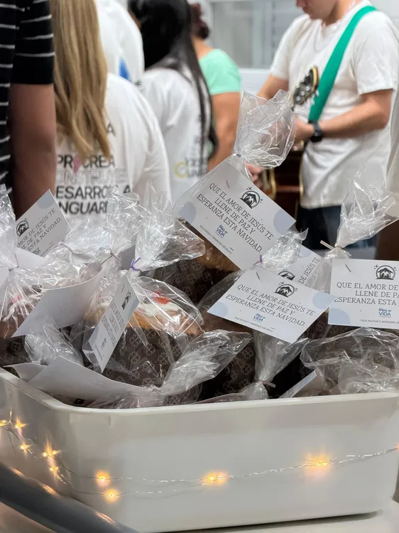 WhatsApp Image 2025-12-24 at 16.13.13 (1)