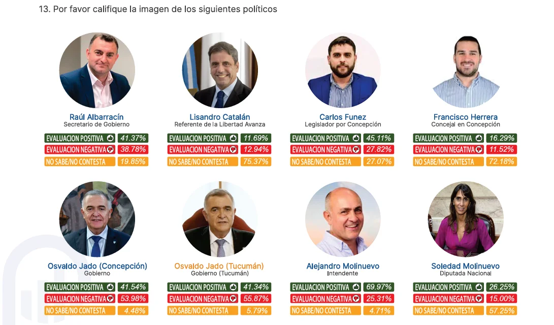 ENCUESTA 10 - IMAGEN POLITOS LOCALES