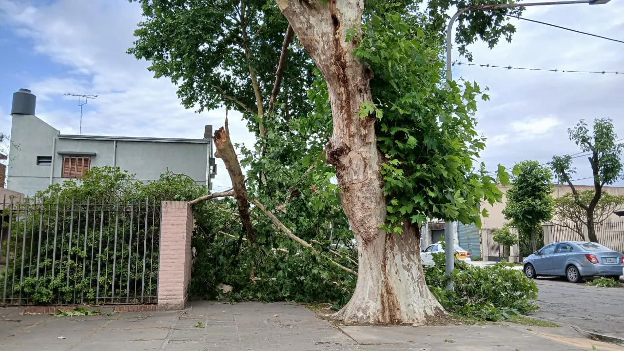 242239e3-739a-42b5-a6e0-4a2598f87545