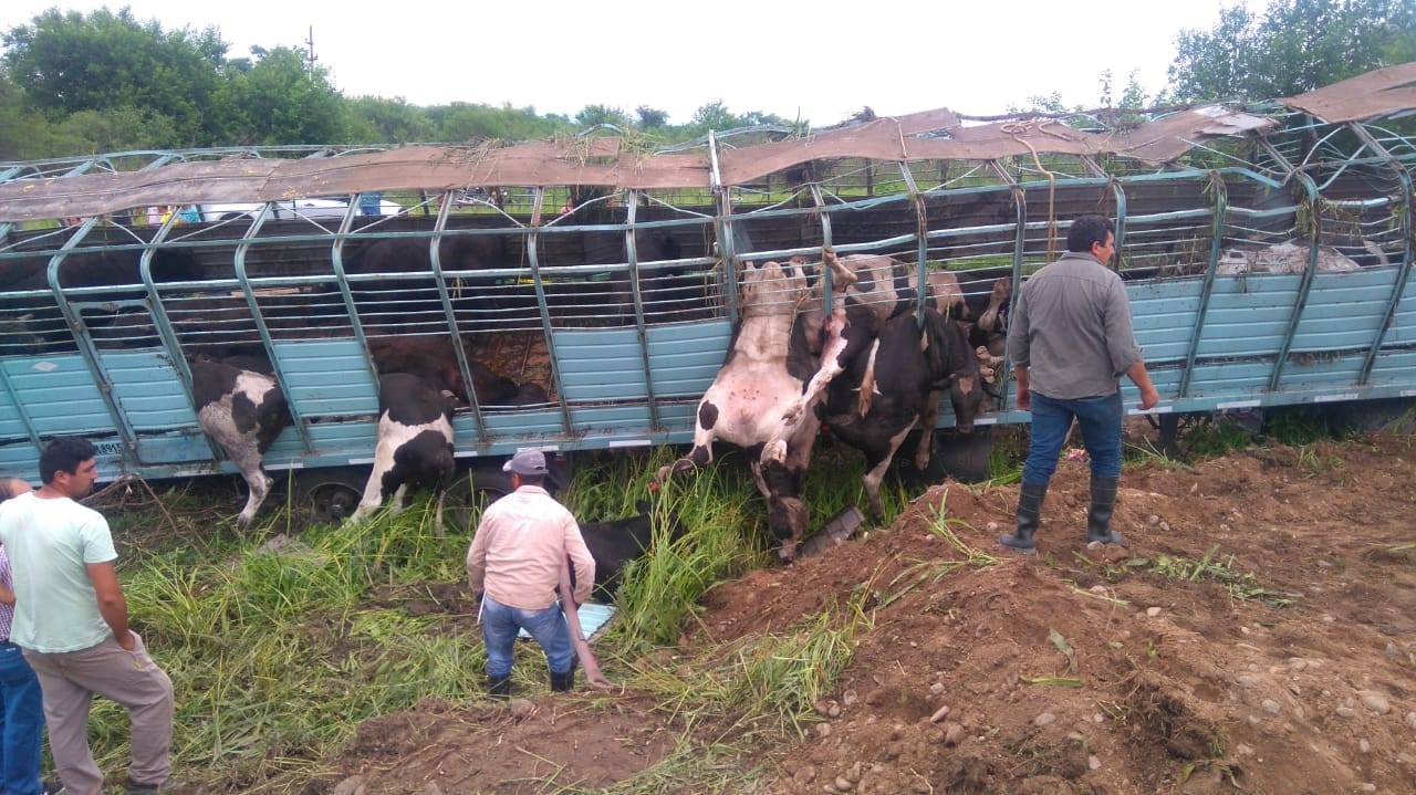 46162314_1152351431584539_8170454688206946304_o