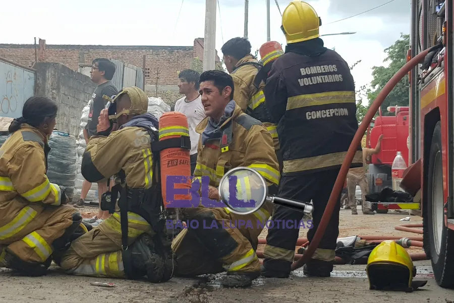 Incendio Nutribon 4 Incendio Nutribon 4