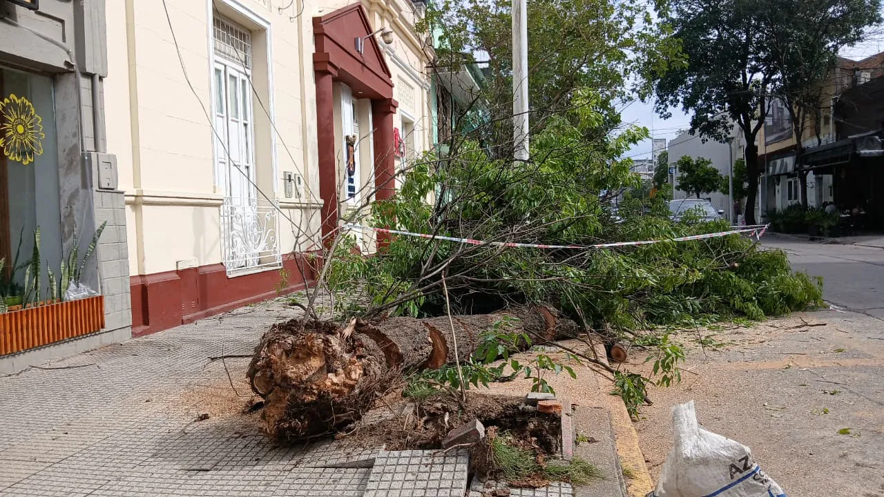 543bc5a6-8e8c-41a0-96b6-75224300245a