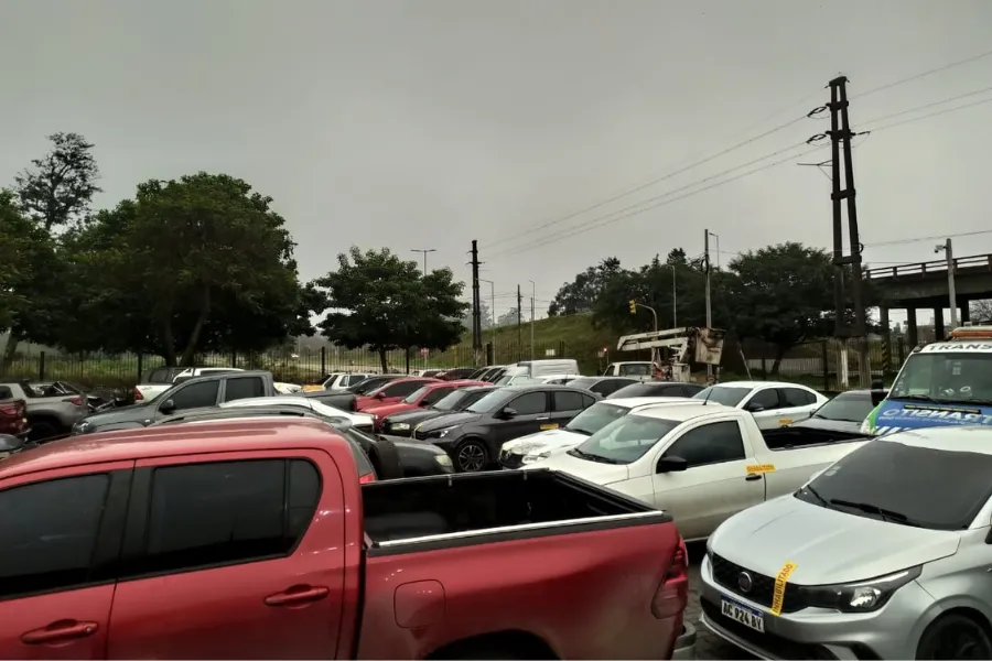 Diario Digital Cuerpo (38)