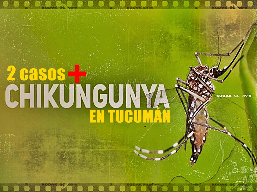 chikungunya