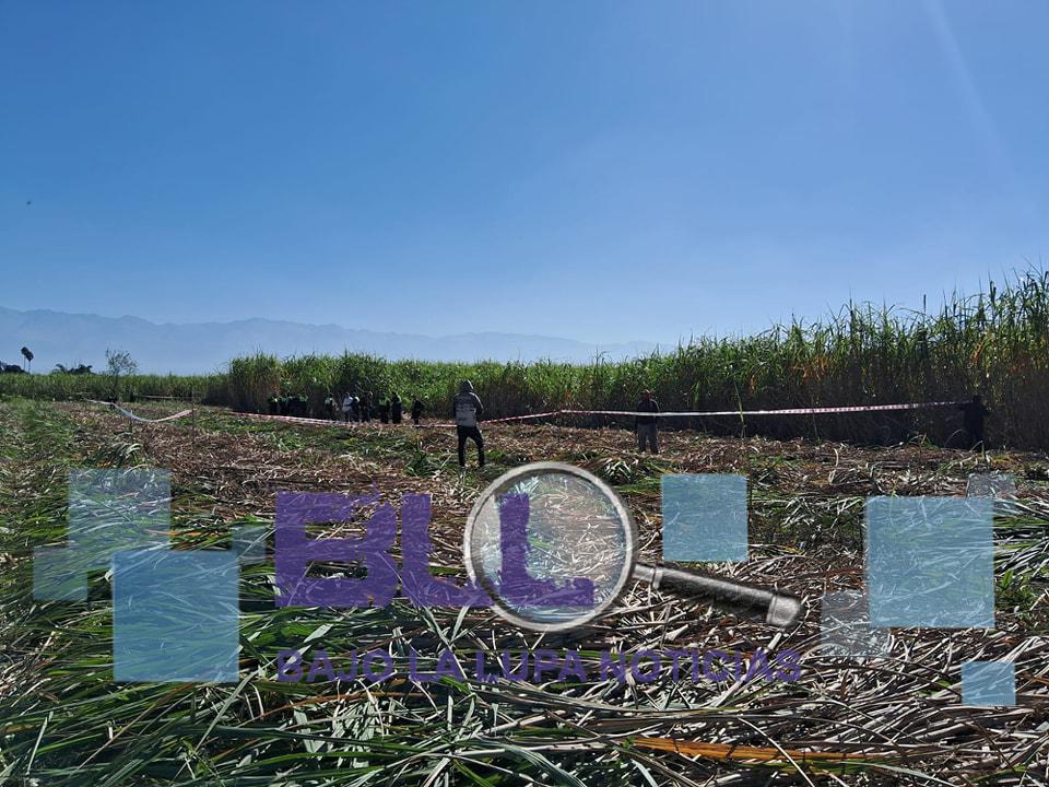 444483873_955544566581106_5761487926400898936_n (1)