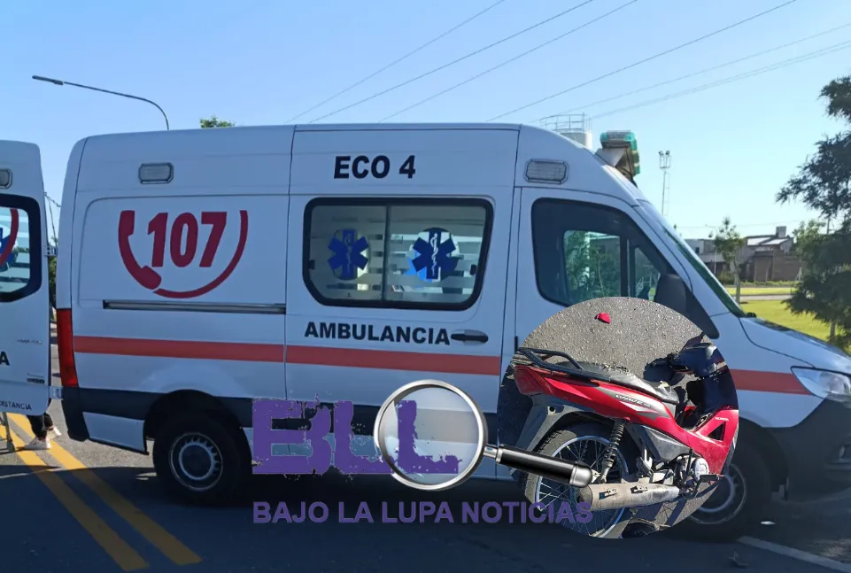 Diseño sin título - 2025-12-17T120554.621