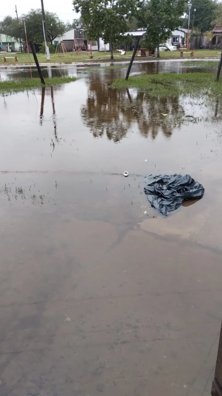 WhatsApp Image 2026-03-18 at 11.20.46