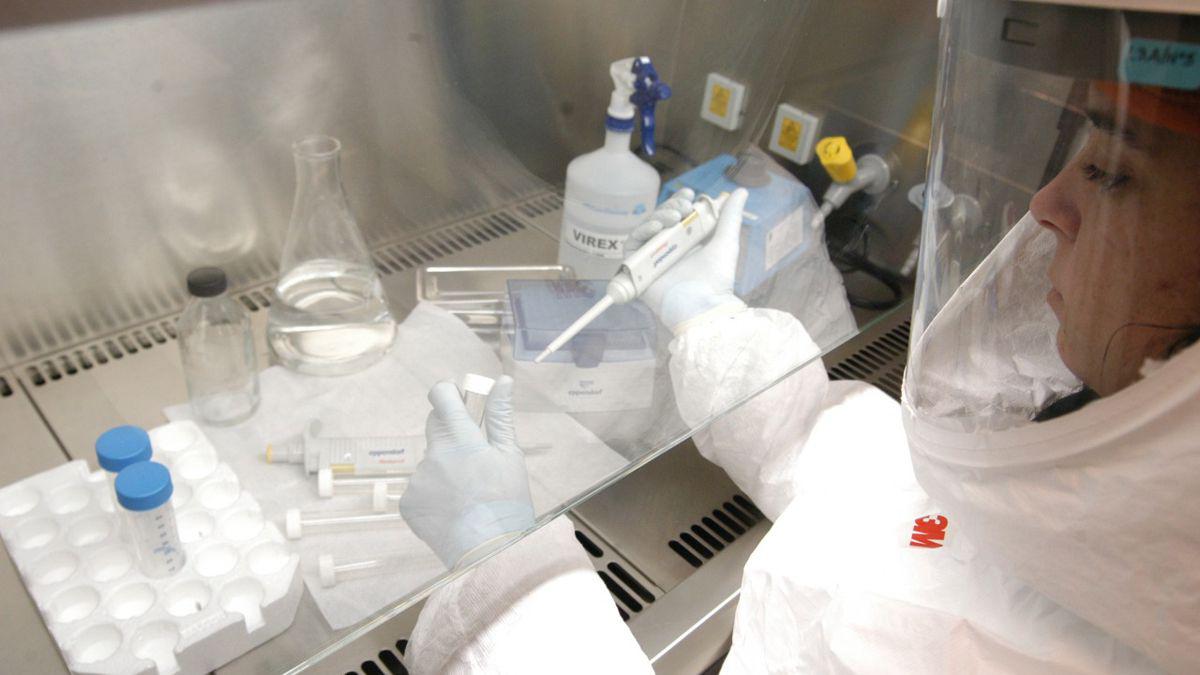 dentro-estos-cinco-casos-cuatro-ellos-no-tienen-relacion-si