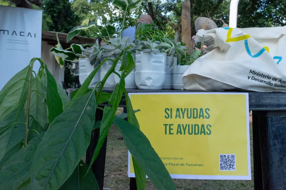 56d70852-f6ba-452d-8106-401f0a066cf5