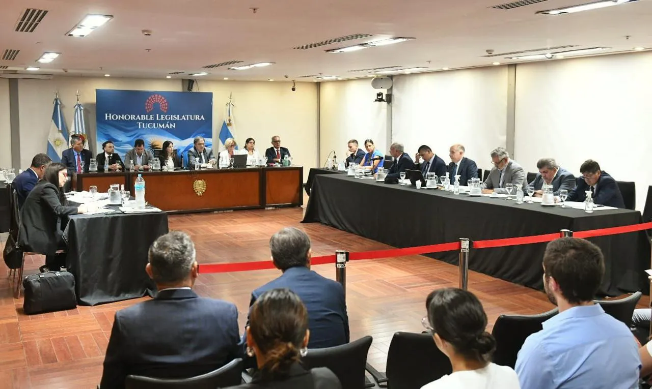 WhatsApp Image 2025-02-24 at 14.08.41 (2)