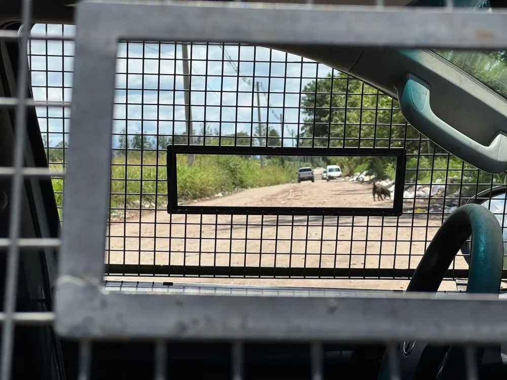 WhatsApp Image 2025-12-26 at 14.17.59