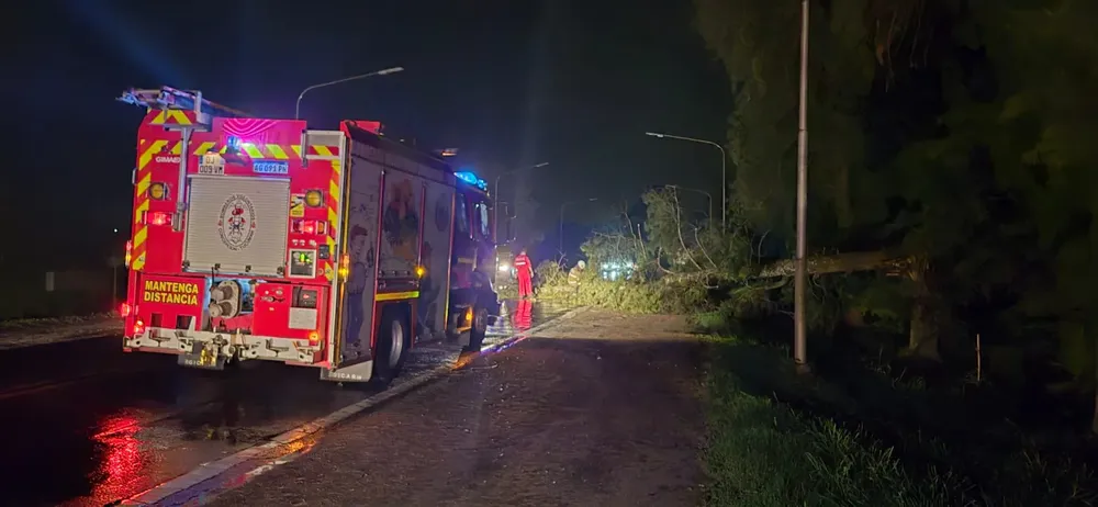 c5357ea1-6a42-4265-939a-757a4cdec5db