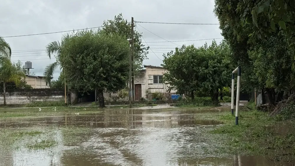 WhatsApp Image 2026-01-19 at 15.29.17 (3)