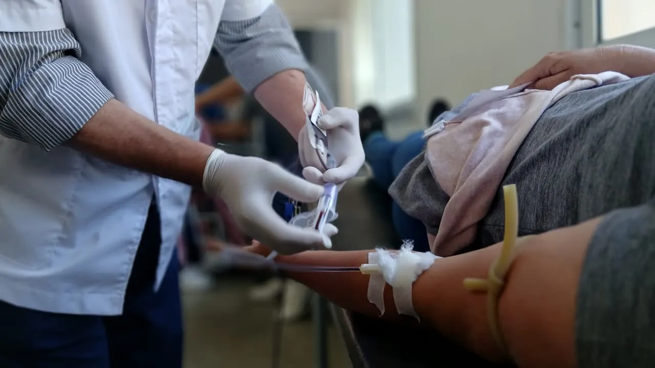 WhatsApp Image 2025-11-10 at 11.00.01