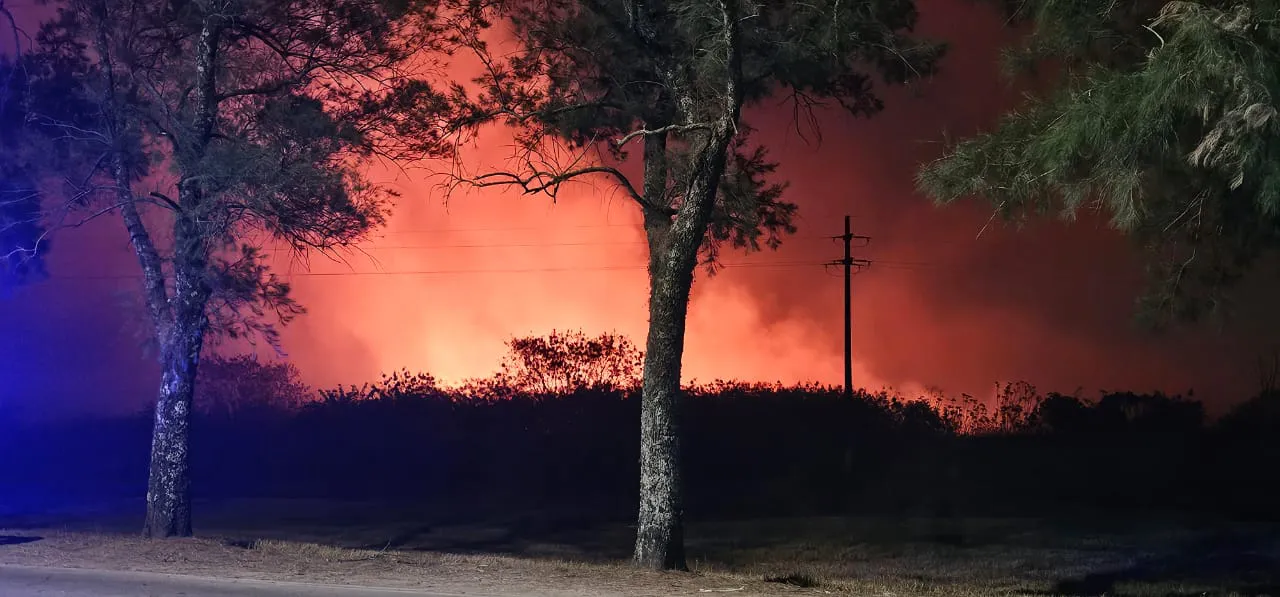 WhatsApp Image 2025-10-10 at 21.36.04