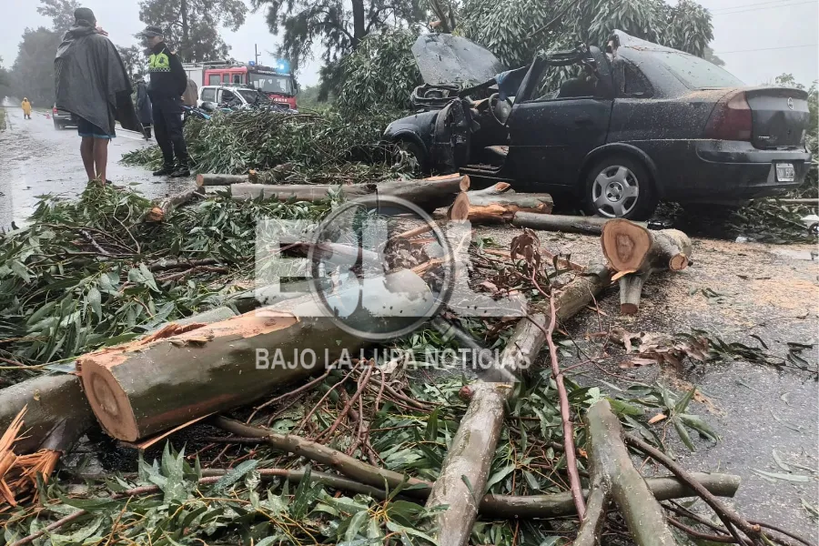 Diario Digital Cuerpo_20250331_090215_0000