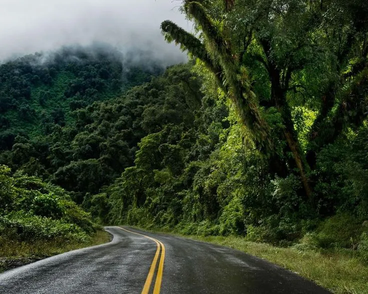 366d32aa59ebfdbfdb38cd6d9ea29a56