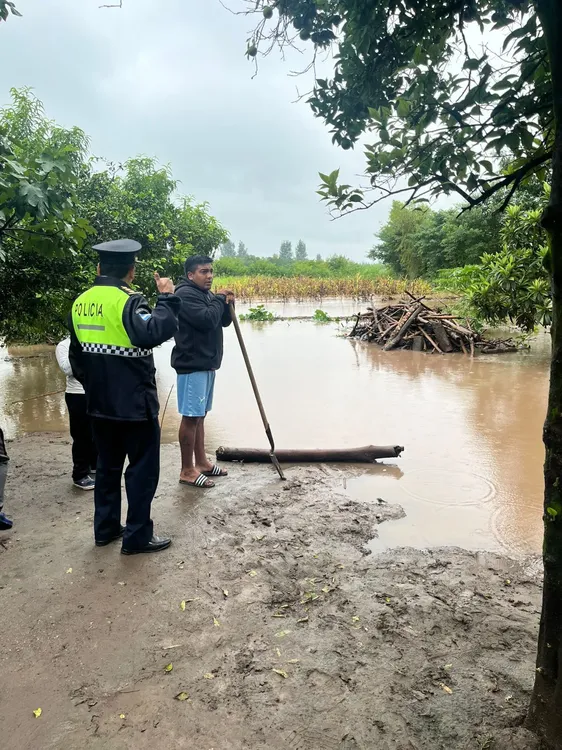 WhatsApp Image 2026-01-19 at 09.34.41