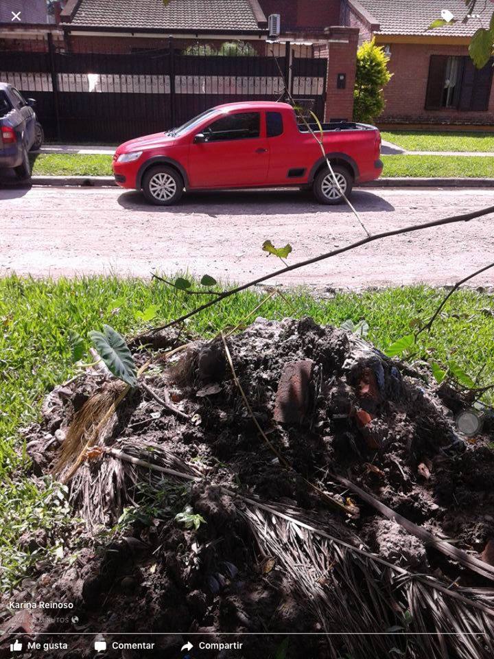 12895247_1146878392046152_1577508533_n